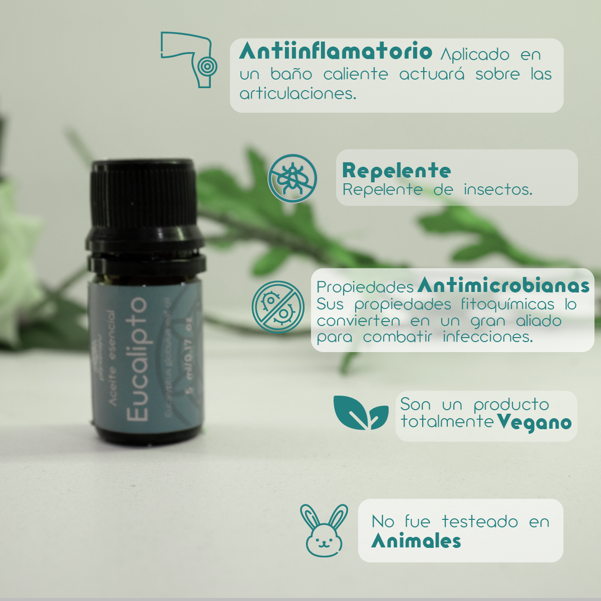 Aceite esencial de eucalipto