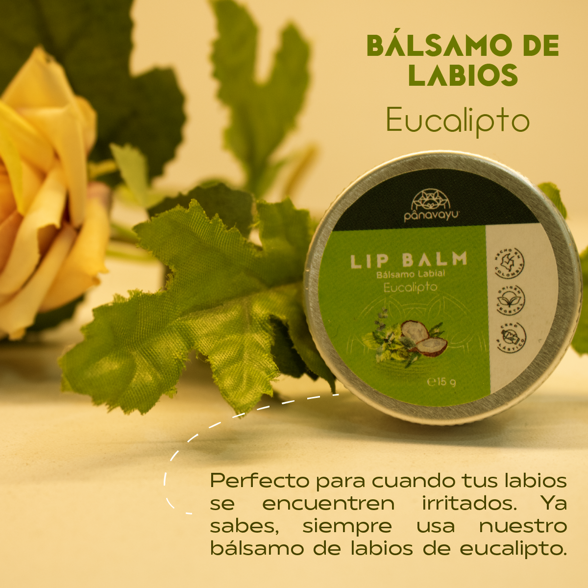 Balsamo labial de eucalipto
