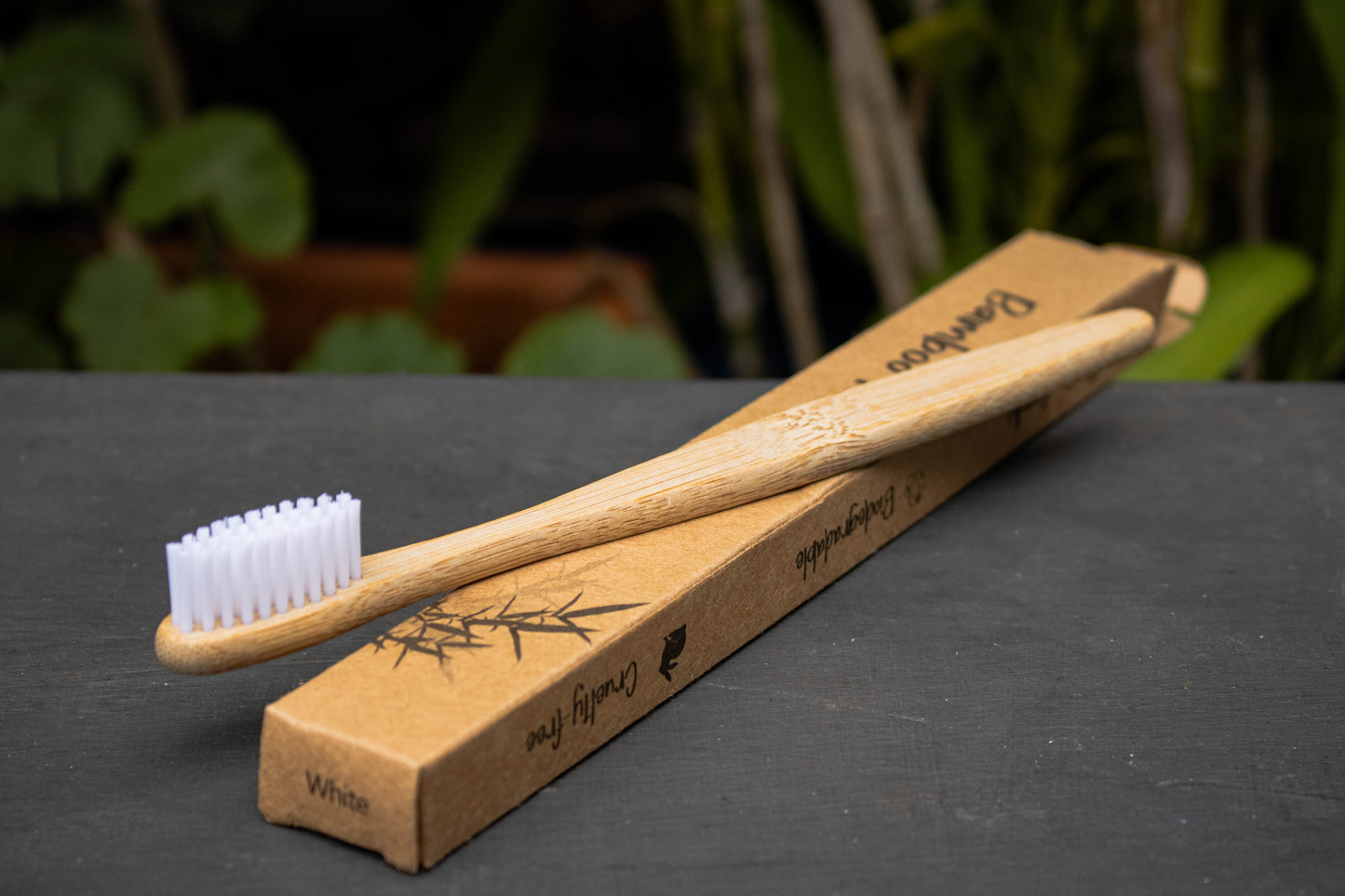 CEPILLO DE DIENTES PREMIUM