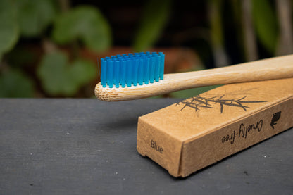 CEPILLO DE DIENTES PREMIUM