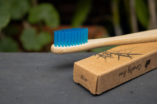 CEPILLO DE DIENTES PREMIUM