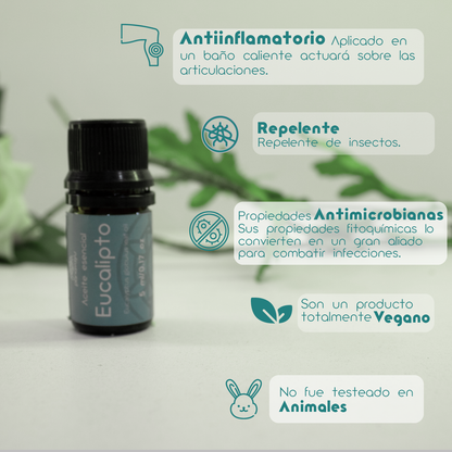 Aceite esencial de eucalipto